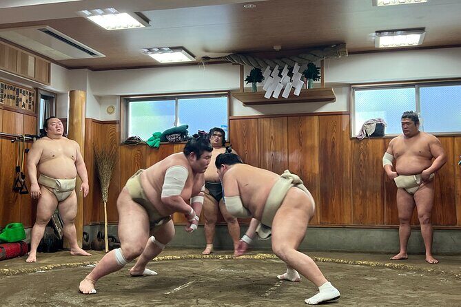 Watch the Real Sumo Morning Practice tour at Yokozuna stable - Final Thoughts