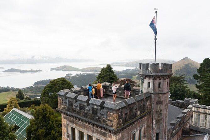 Water Taxi and Shuttle to Larnach Castle - The Sum Up