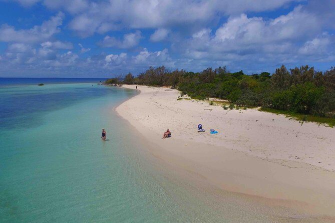 Water Taxi Signal Island Turtle Tour for cruisers - Who Will Love This Tour?