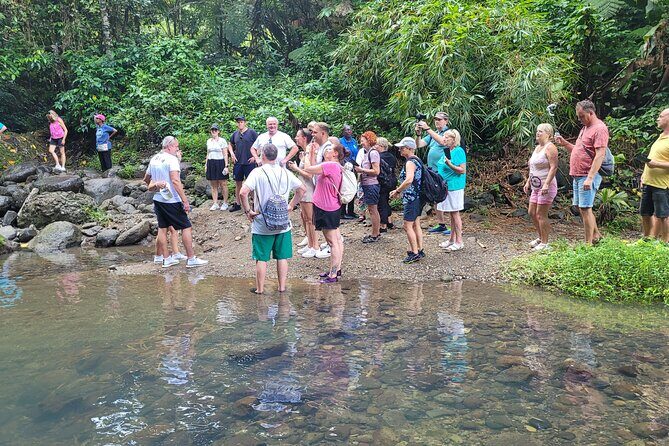Waterfall and Beach Safari in Santa Lucia - The Sum Up