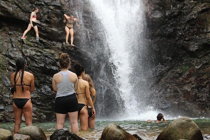 Waterfall and Fijian Village Tour with Light Lunch ex Nadi Area Hotels - Key Points