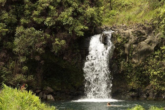 Waterfall and Rainforest Adventure - Key Points