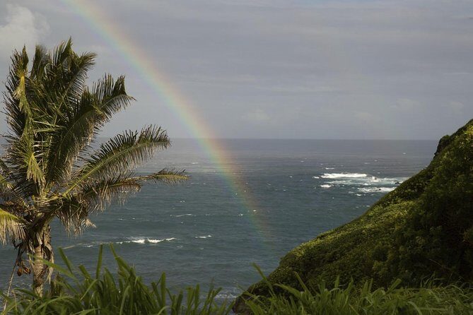 Waterfall and Rainforest Adventure - Who Should Consider This Tour?