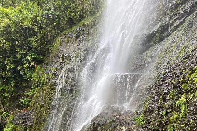 Waterfall and Rainforest Adventure - The Sum Up: Who Will Love This Tour?