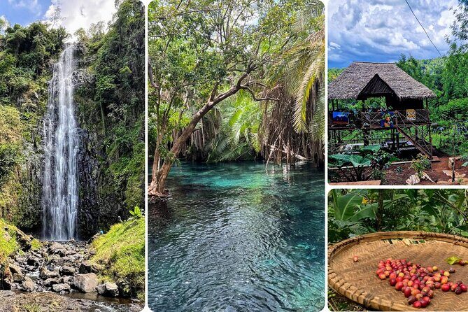 Waterfall, coffee tour & hot springs - lunch and drinks included - Key Points