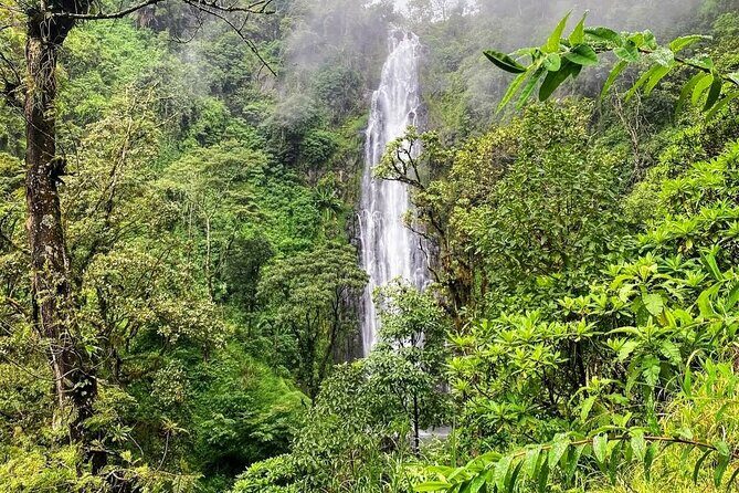 Waterfall, coffee tour & hot springs - lunch and drinks included - The Sum Up