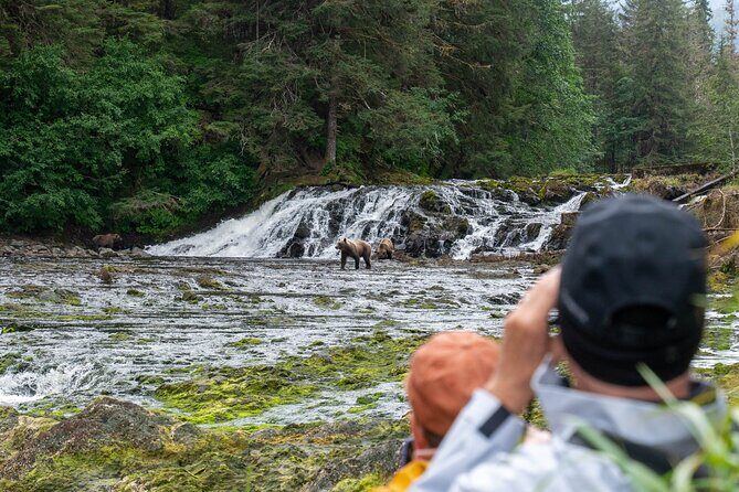 Waterfall Creek Brown Bear Viewing Juneau - FAQs