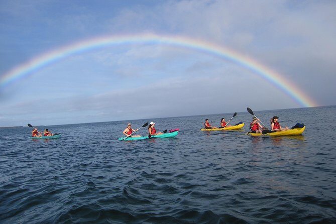 Waterfall Hike and Kayak Snorkel & Paddle from Makena - Key Points