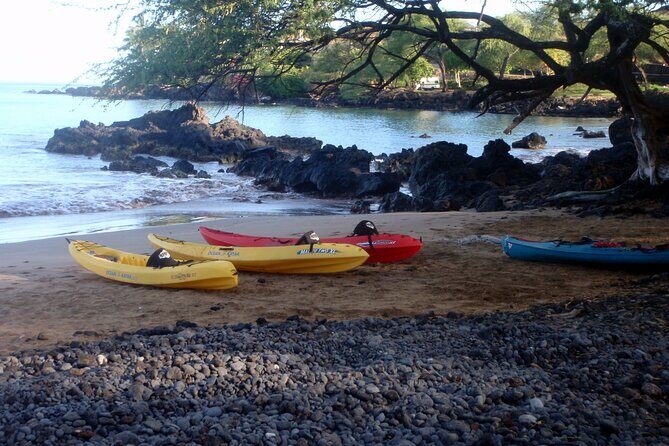 Waterfall Hike and Kayak Snorkel & Paddle from Makena - In The Sum Up
