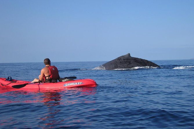 Waterfall Hike and Kayak Snorkel & Paddle from Makena - Frequently Asked Questions