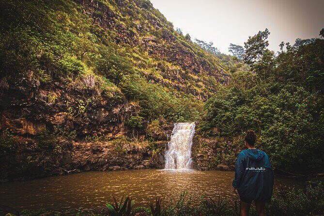 Waterfall Hike in Hawai'i Rainforest Trail - Learning from Your Guide