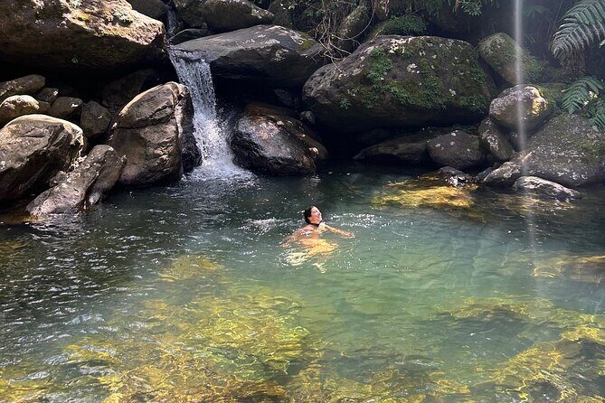 Waterfall Hike in Remote Area of El Yunque Rainforest; San Juan - Exploring the Waterfall Hike in Remote El Yunque Rainforest: A Detailed Review