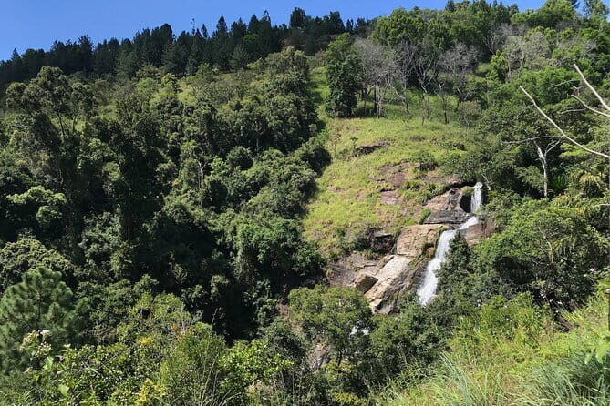 Waterfall Hunting- Bambarakanda & Lanka Falls + Natural Pool Bath - Transportation and Logistics
