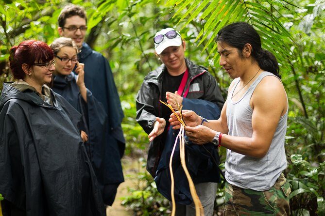 Waterfall, Rainforest, Chocolate Tour & Historical Sites - Analyzing the Tour’s Value