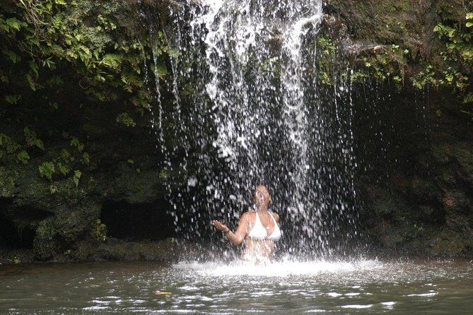 Waterfall & Rainforest Hiking Adventure with Hotel Pickup - What to Expect on the Tour