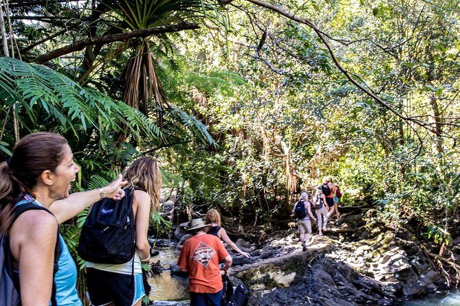 Waterfall & Rainforest Hiking Adventure with Hotel Pickup - Authenticity and the Value of This Experience