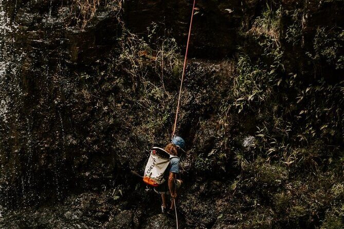 Waterfall Rappelling at Kulaniapia Falls: 120 Foot Drop, 15 Minutes from Hilo - The Value and What Travelers Say