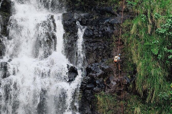 Waterfall Rappelling at Kulaniapia Falls: 120 Foot Drop, 15 Minutes from Hilo - Practical Details and Tips for Planning