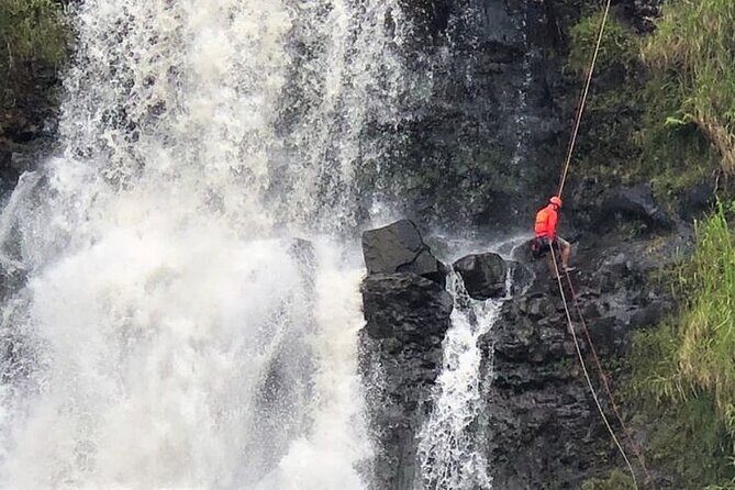 Waterfall Rappelling at Kulaniapia Falls: 120 Foot Drop, 15 Minutes from Hilo - Final Thoughts: Who Is This Tour For?