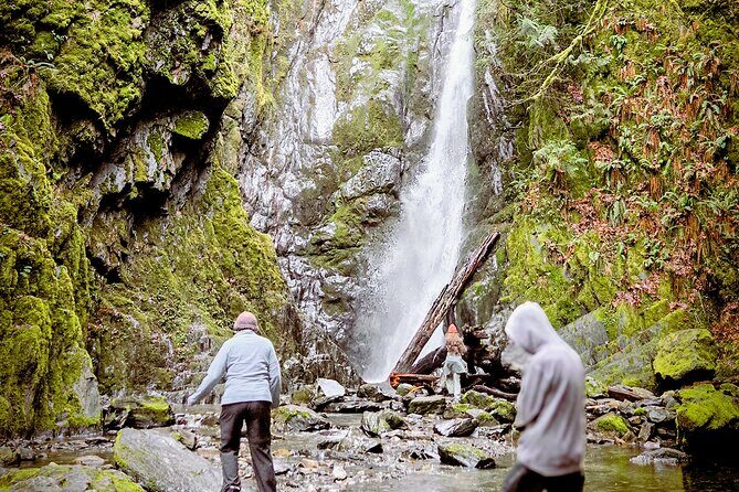 Waterfall, Skywalk, Lagoon Picnic, Castle and Whales in Victoria - Exploring Each Stop in Detail