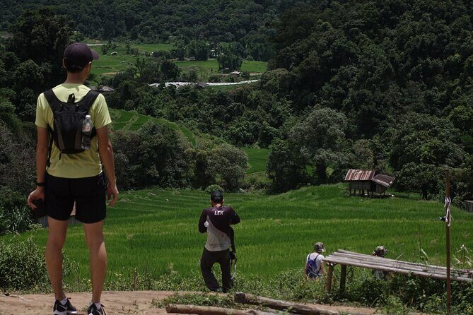 Waterfall Wanderer Doi Inthanon Hiking Tour - The Sum Up