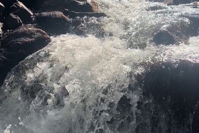 Waterfalls Adventure, A Hidden Gem In Nature - An In-Depth Look at the Waterfalls Adventure