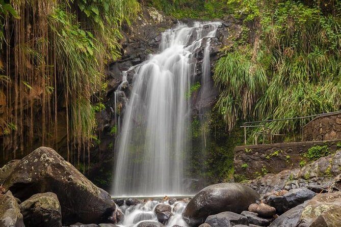 Waterfalls Adventure Hikes in St. George's, Grenada - Introduction