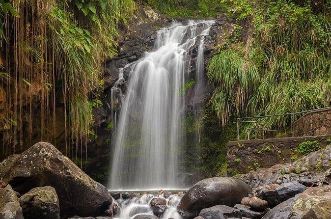 Waterfalls Adventure Hikes in St. George's, Grenada - FAQ