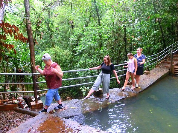 Waterfalls and Nature Tour - An In-Depth Look at the Waterfalls and Nature Tour