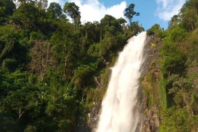 Waterfalls, Coffee, Hotsprings, Food Cuisine, & Serval Wildlife - Considerations Before Booking