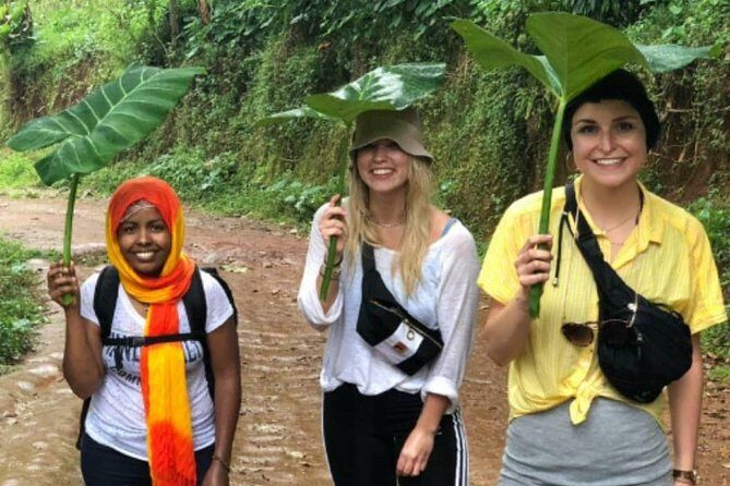 Waterfalls, Coffee, Hotsprings, Food Cuisine, & Serval Wildlife - Final Thoughts