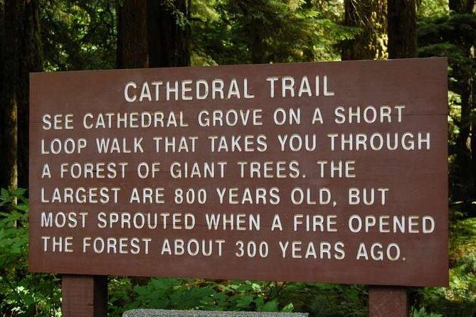 Waterfalls, Coombs and Cathedral Grove Rainforest Tour - An Overview That Balances Adventure and Comfort