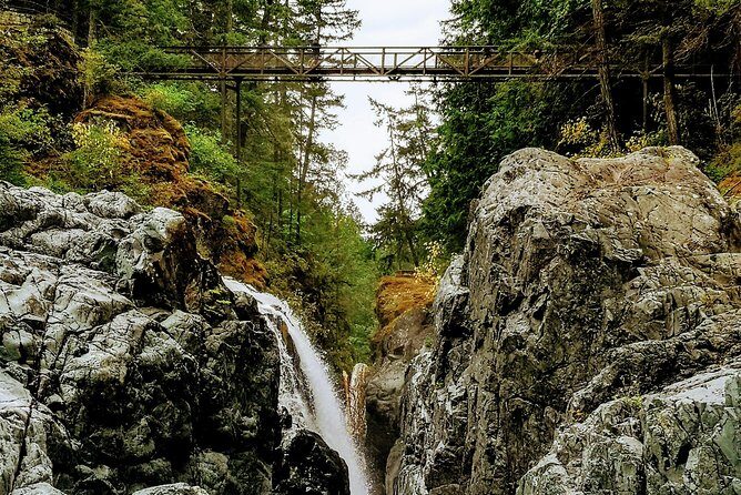 Waterfalls, Coombs and Cathedral Grove Rainforest Tour - Authentic Experiences and Notable Highlights