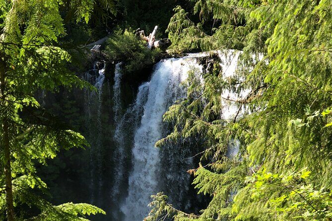 Waterfalls & the McKenzie River in a Tesla - An In-depth Look at the Waterfalls & McKenzie River Tesla Tour