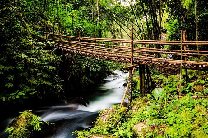 Waterfalls Tour - An In-Depth Look at the Waterfalls Tour