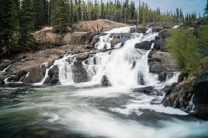 Waterton Lakes National Park Scenic Day Tour from Calgary - What the Reviews Tell Us