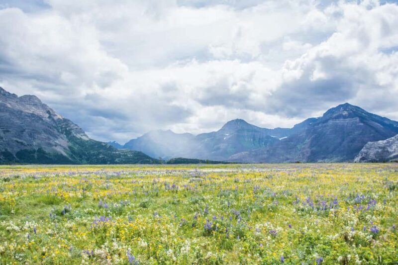 Waterton National Park: Lakes & Mountains Day Tour - The Sum Up