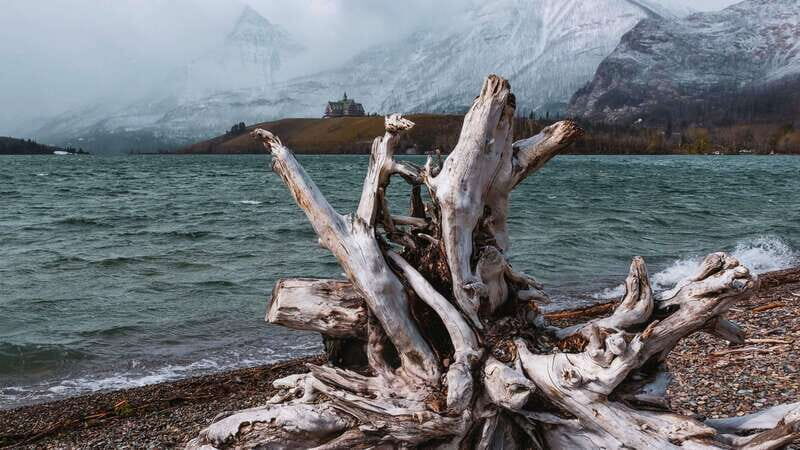 Waterton's Wild Beauty: A Hidden Gem in the Rockies - Final Thoughts