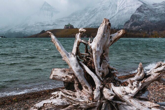 Waterton's Wild Beauty: A Hidden Gem in the Rockies - Final Thoughts: Is This Tour Right for You?