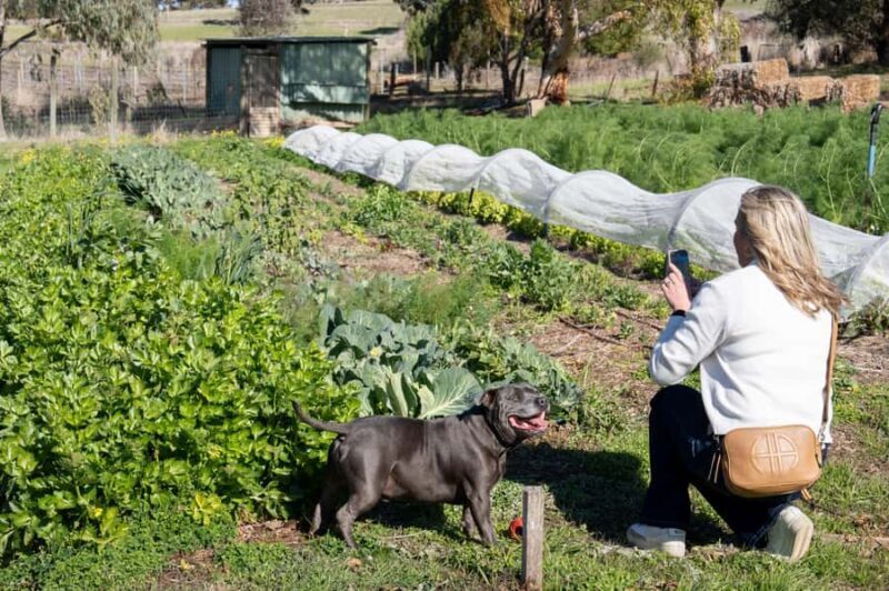 Watervale: Penobscot Farm Tour with Chef and 5-Course Lunch - The Sum Up
