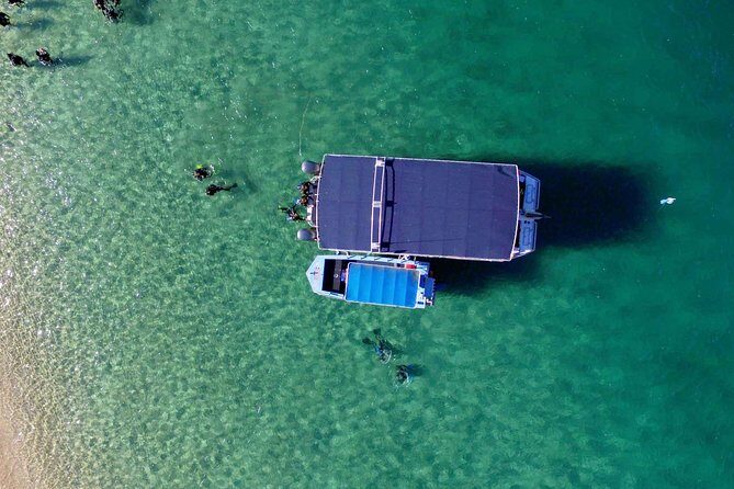 Wave Break Island Snorkel Tour on the Gold Coast - Price and Value