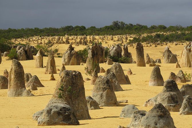 Wave Rock and Pinnacles Air & Ground Tour - Who Would Love This Tour?