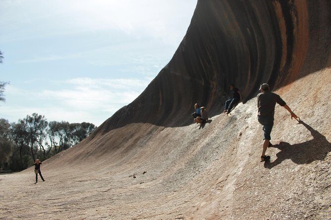 Wave Rock Half Day Air & Ground Tour - Who Would Love This Tour?