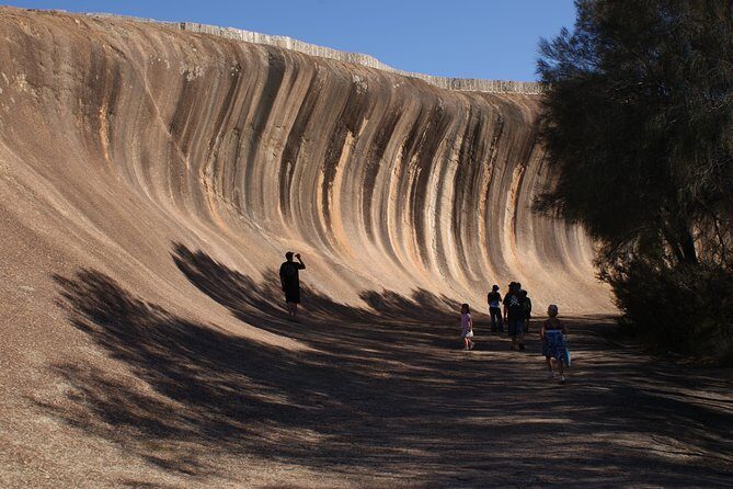 Wave Rock, Pinnacles and Rottnest One Day Aeroplane Tour - Key Points