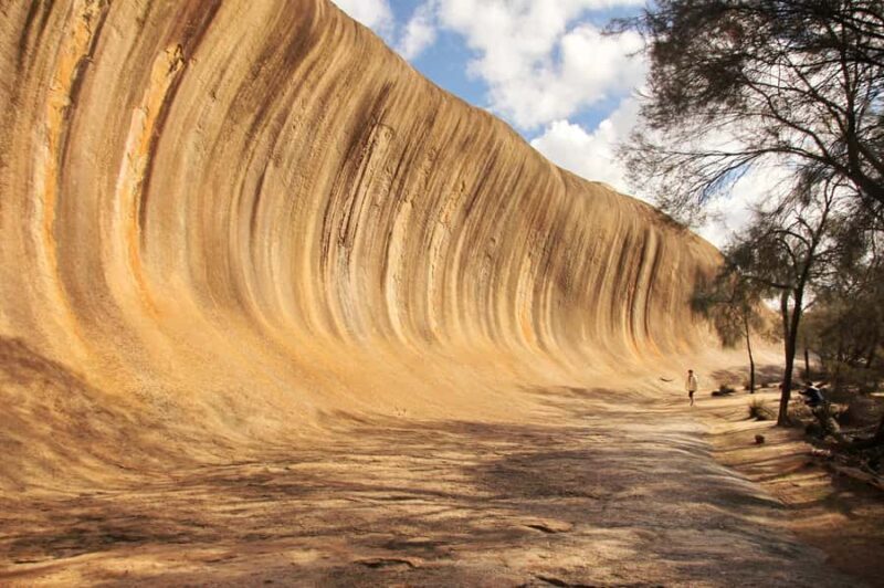 Wave Rock Private Tour - Into the Wheatbelt: Corrigin and Kondinin