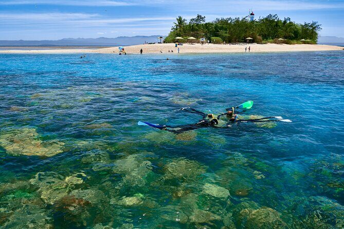 Wavedancer Low Isles Great Barrier Reef Sailing Cruise from Cairns - Setting the Scene: What to Expect on the Wavedancer Low Isles Cruise