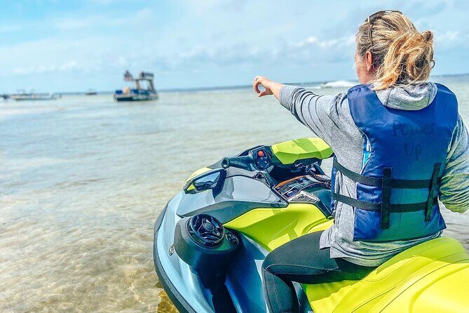 Waverunner Dolphin Tour - Detail on the Experience Components