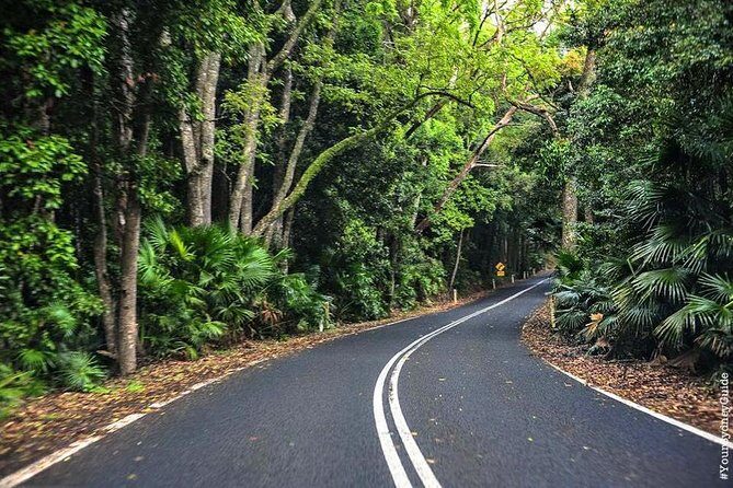 Waves Waterfalls and Wineries Full-Day Southern Highlands Private Tour - Authentic Experiences and Guest Feedback