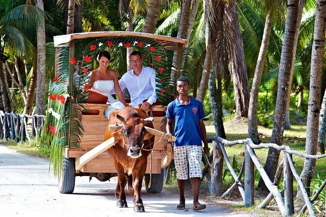 Wedding Photo / Honeymoon Praslin Seychelles - Final Thoughts: Is This Experience Worth It?