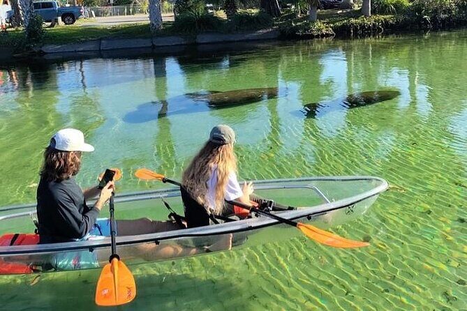 Weeki Wachee Clear Kayak Ecotours Manatee Season - November 14th-March 31st - Key Points